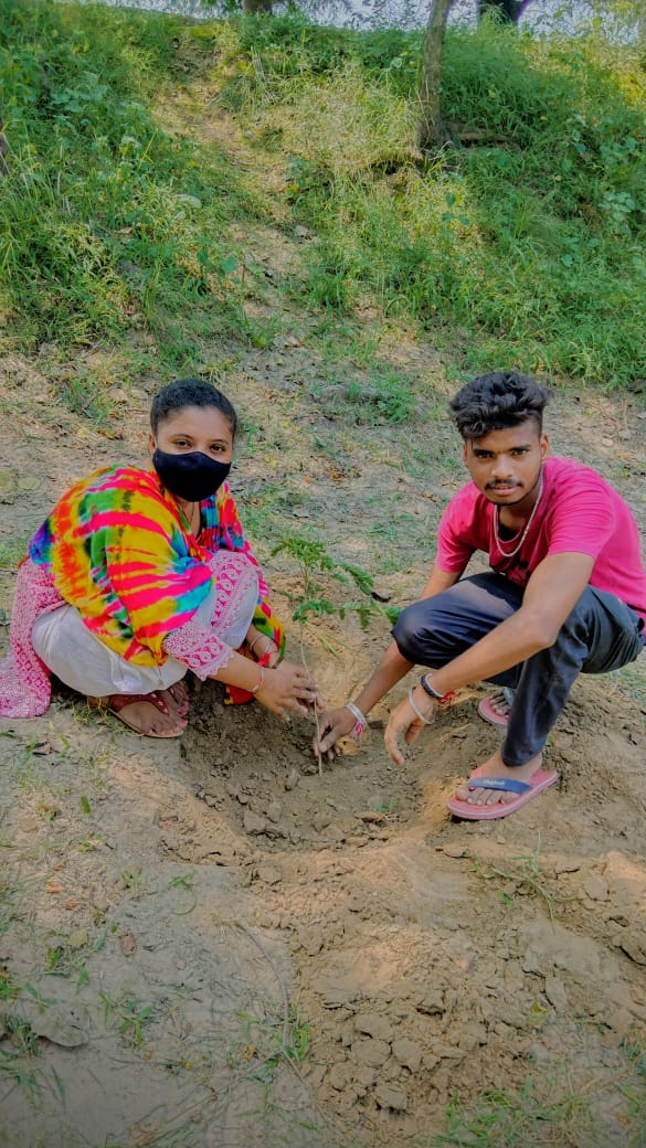 Nature plays an vital role in maintaining the ecosystem. Ram Rahim Ji has initiated 'Nature Campaign' and directed masses to plant more trees. Following his pious inspiration millions of Dera Sacha Sauda disciples pledge to plant trees. #GoGreen