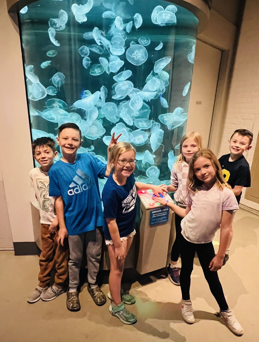 🦅🐢🦍Wow what a wonderful field trip we had to the @ToledoZoo today! Thank you so much to MAPS and all the parent volunteers who helped make this trip possible!🐙🐘🦩