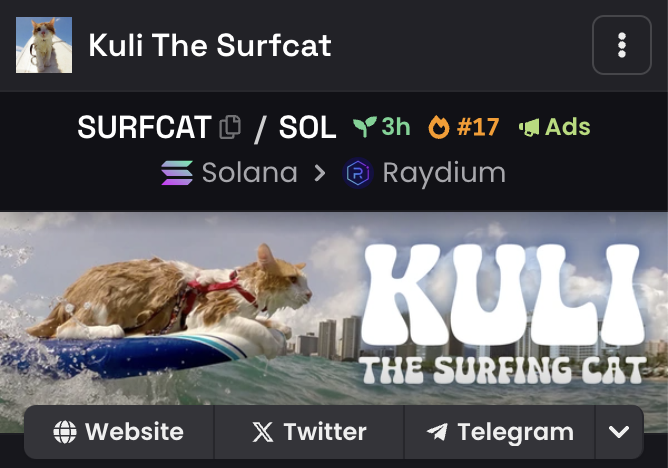 SURFCAT SOL tweet media