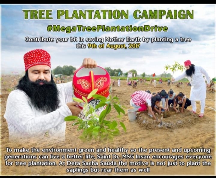 Saint Ram Rahim जी द्वारा एक अनोखी पहल शुरू की गई जिसे 'Nature Campaign' के नाम से जाना जाता है। इस अभियान के तहत अब तक डेरा सच्चा सौदा के स्वयंसेवकों ने 4 करोड़ से अधिक पेड़ लगाए हैं और कुल लगाए गए पेड़ों में से 75% पेड़ फल-फूल रहे हैं #GoGreen