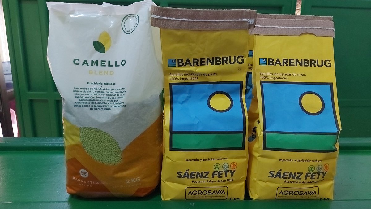 Los Ganaderos siguen prefiriendo semillas de la mejor calidad en @AlmaganColombia Amigo Ganadero es el momento de establecer pasturas que le permitan obtener mejores rendimientos en la produccion de carne y leche. @jflafaurie @Fedegan #ConstruyendoGanaderia