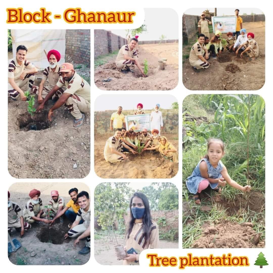 Trees are an essential part of our life, that's why Saint Ram Rahim Ji started the Nature Campaign to plant trees, under which volunteers of Dera Sacha Sauda plant lakhs of trees every year and take care of them so that the environment remains clean and green. #GoGreen