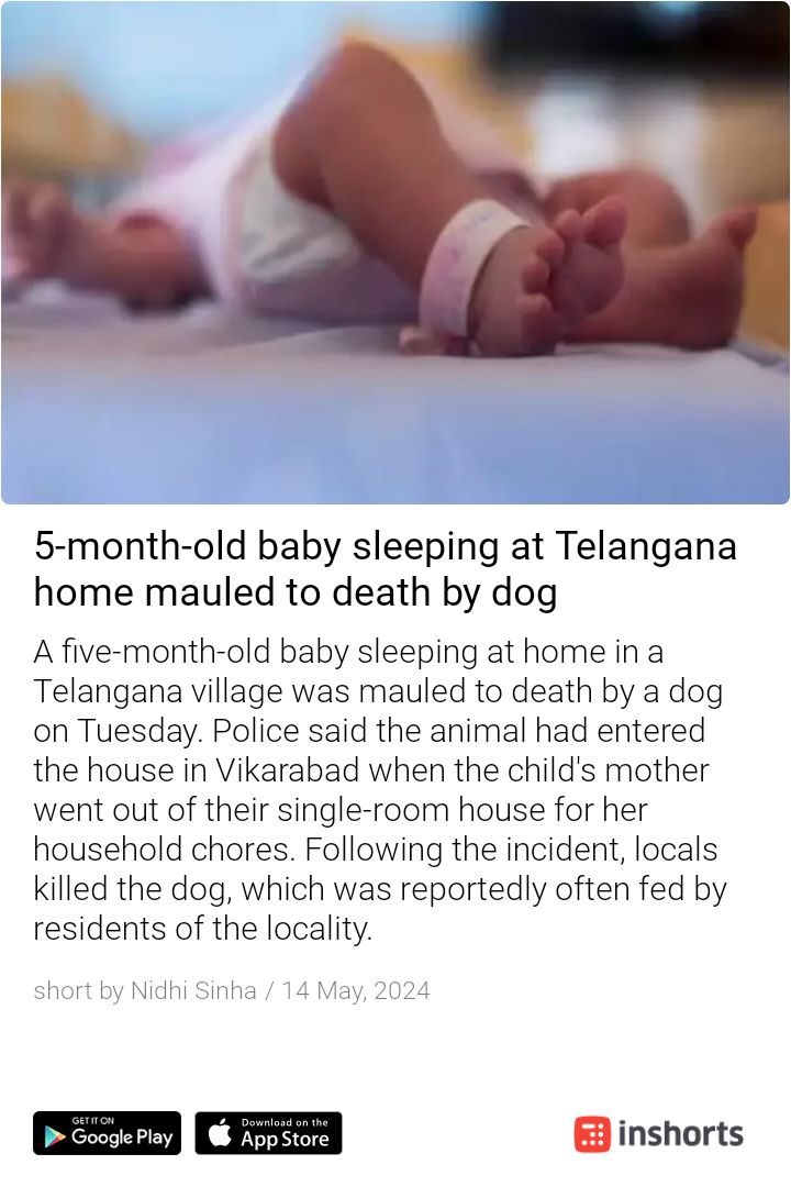 How long our vulnerable children will be mauled to death by stray #dogs 
Concerned authorities are just not concerned or rather buckle under the pressure of #AnimalLovers
@TimesNow @IndiaToday @TelanganaCMO
@PetaIndia @pfaindia @GVD6JA @TheViditsharma 
shrts.in/PwCWv
