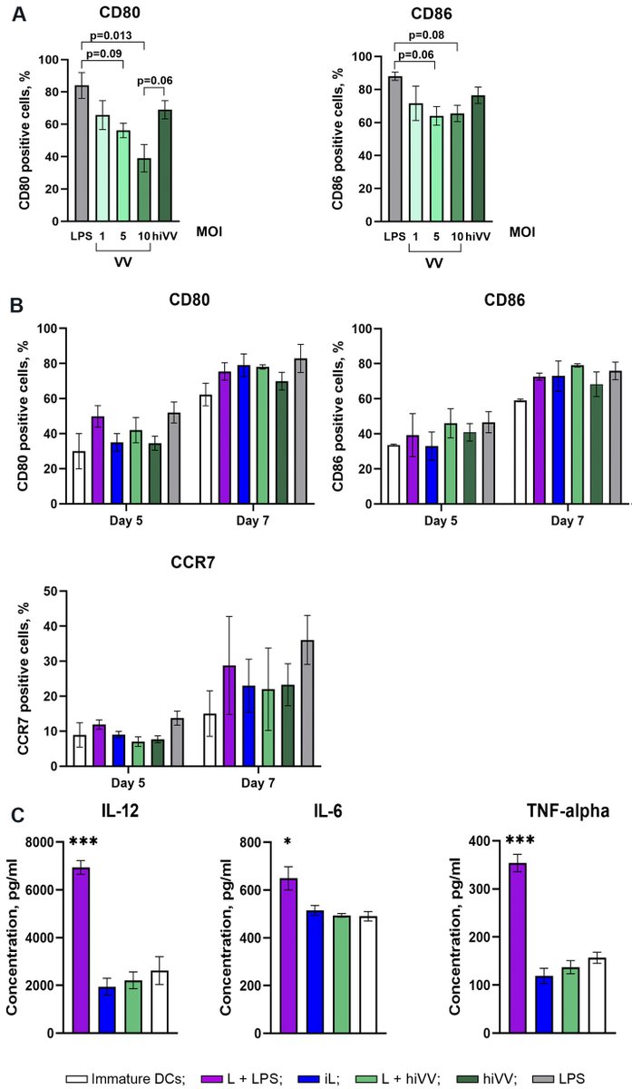 💡#Combinationtherapy with #oncolyticvaccinia virus LIVP/GFP and #tumor/virus antigen-loaded DCs limited the growth of established #melanoma B16-F10, but no synergistic antitumor effects were observed.
Online: oaepublish.com/articles/2394-…
PDF: f.oaes.cc/xmlpdf/edf7dda…