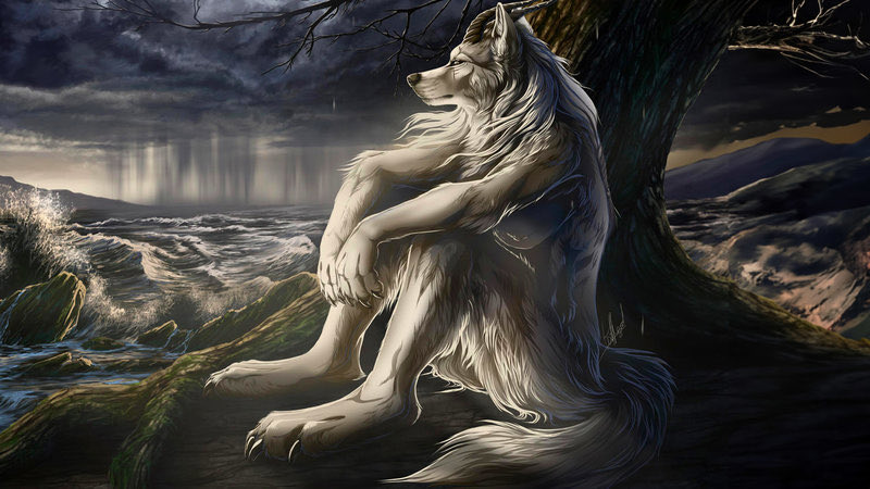 skyler_higley's tweet image. People who “don’t really care about their birthday”