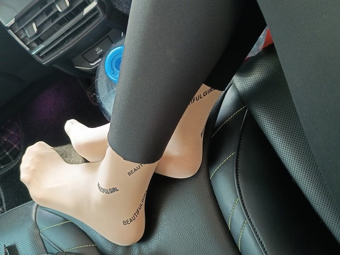 鲨鱼裤里字母丝！