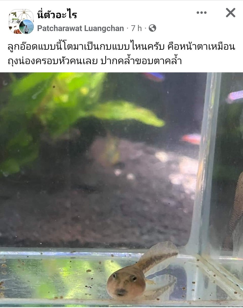 ขอโทษที่หลุดขำดังมาก 55555555