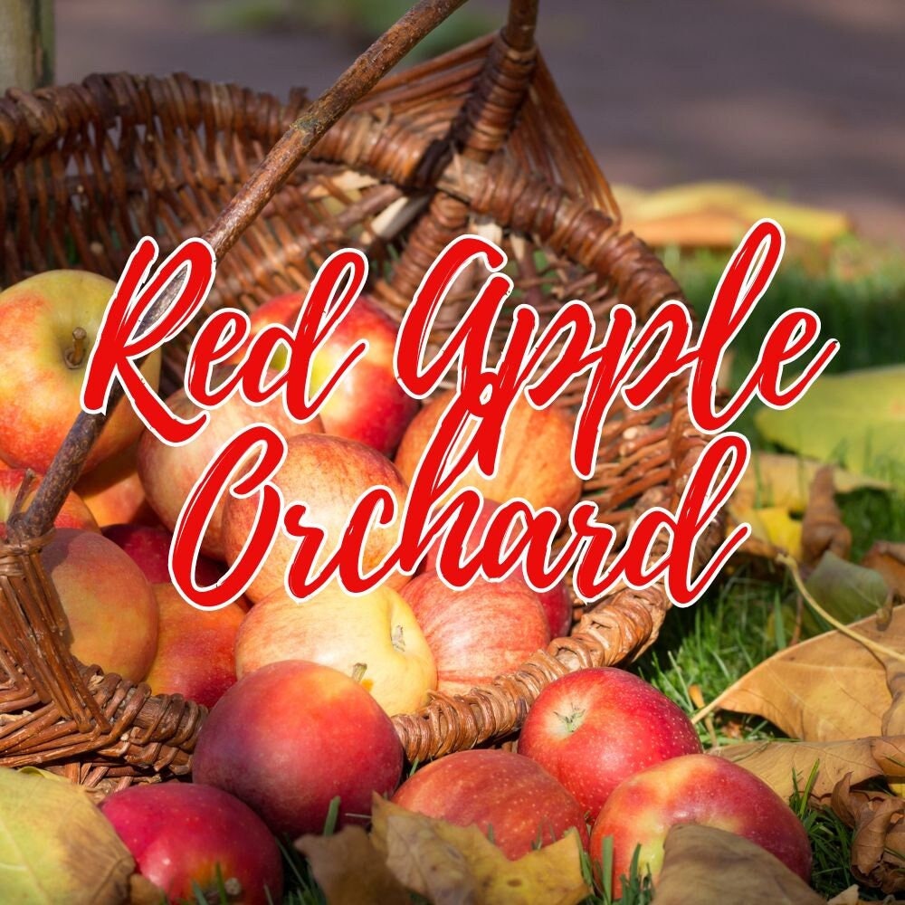 Red Apple Orchard Aromatherapy Oil Diffuser Oil Home Fragrances tuppu.net/aba890e2 #fashionjewelry #Etsy #blackownedbusiness #explore #melaninfashion #SpiritualityOils