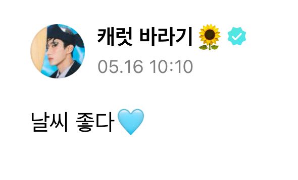 240516 #도겸 Weverse 🌟 🐰 the weather is nice🩵