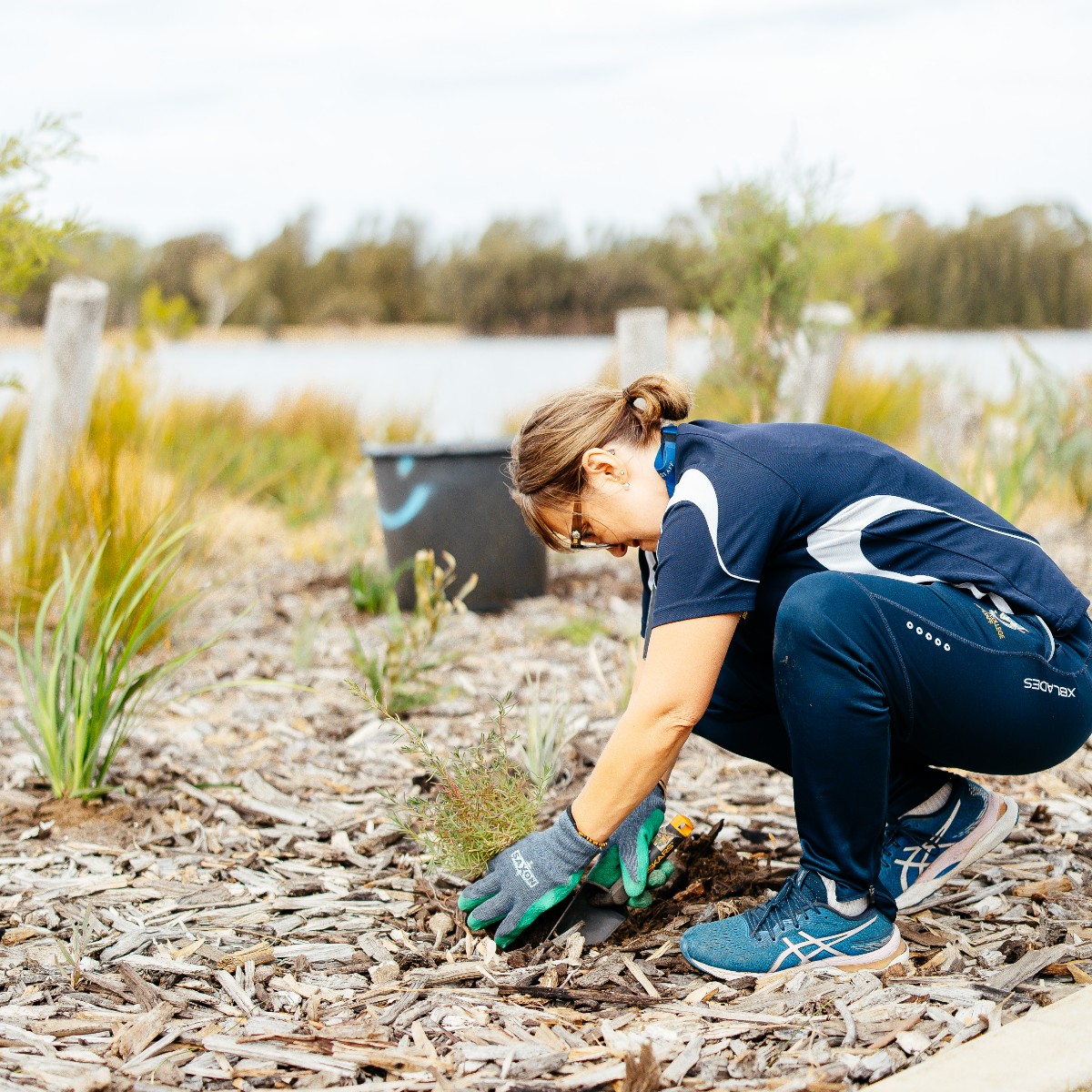 Join us this Saturday at Moort-ak Waadiny / Wellington Square for a community planting day in celebration of Tree Month 🌱🌳 We'll be installing trees and plants to increase our canopy cover and enhance our biodiversity. 18 May | 9:30am - 1pm More: brnw.ch/21wJOTp