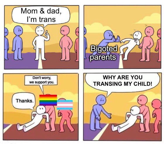 “sToP tRaNsInG kIdS” and it’s just trans kids finding support elsewhere because their parents are bigots
