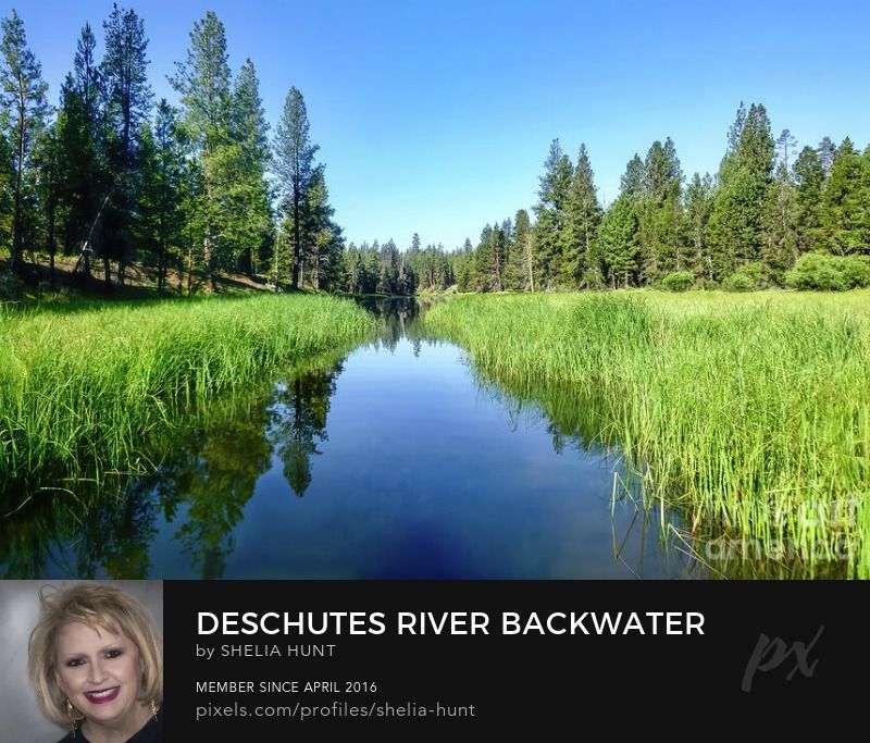 Check out this image of the stunning Deschutes River in Pacific NW ---> buff.ly/3UJ7gSh 
#SheliaHuntPhotography #DeschutesRiver #Deschutes #PacificNorthwest #Oregon #BuyIntoArt