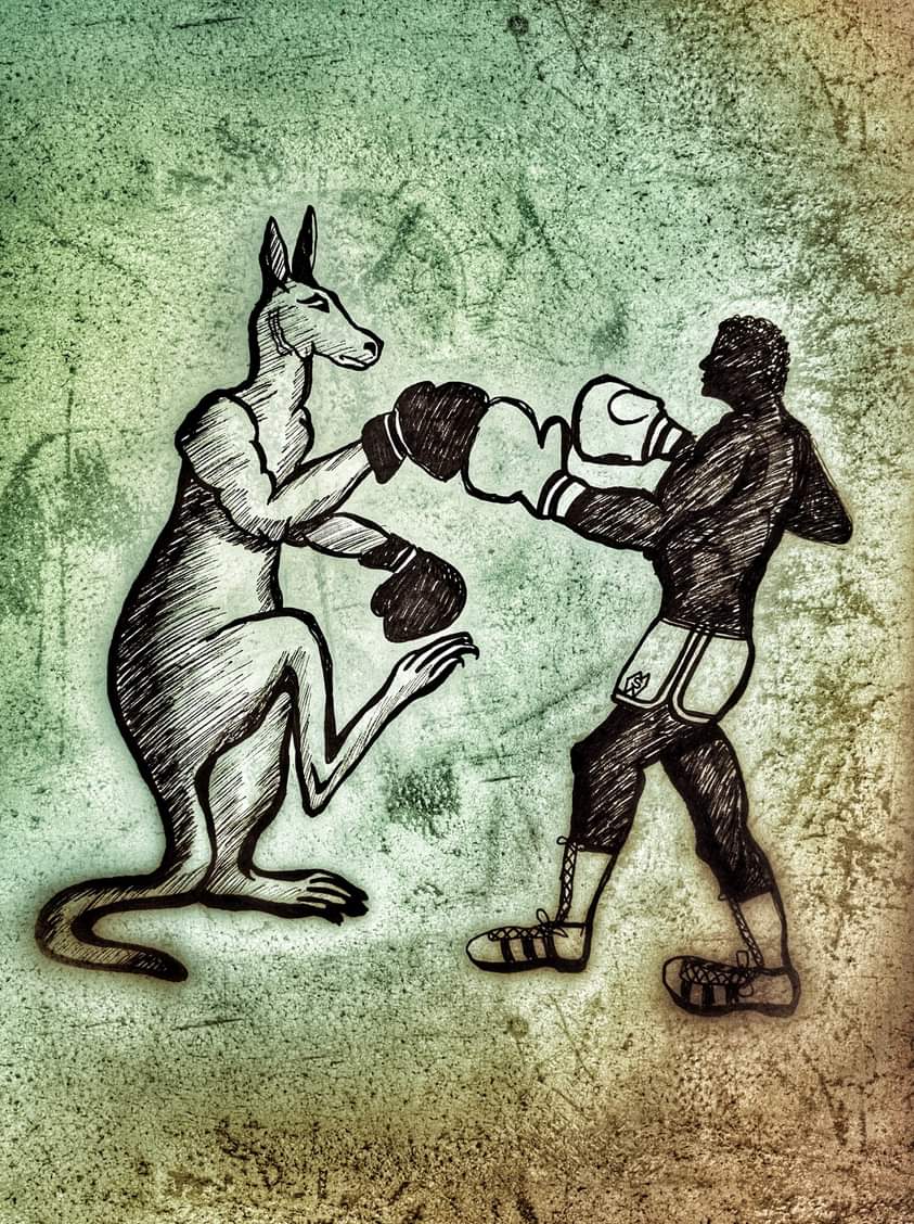 May 15th is International Kangaroo Day.  This is my drawing of a kangaroo boxing against a man   redbubble.com/shop/ap/100816… #mattstarrfineart #artistic #artforsale #artist #myart #kangaroo #kangaroos #boxing #man #sport #animal #animals #wildlife #australia #kick #kickboxing