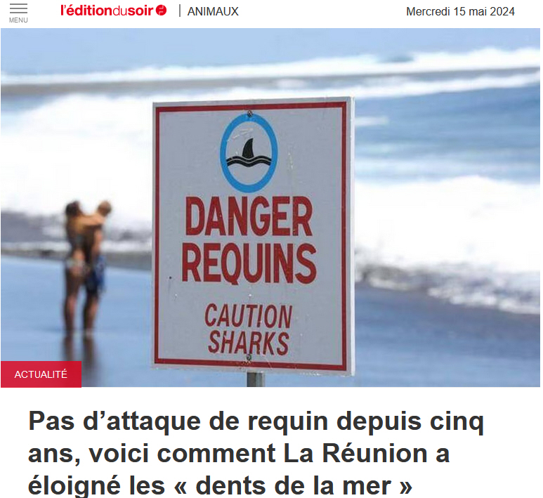 🇷🇪🦈Pas d’attaque de #requin depuis5️⃣ans,voici comment #LaRéunion a éloigné les « dents de la mer ».

➡️ Source : ouest-france.fr/leditiondusoir…