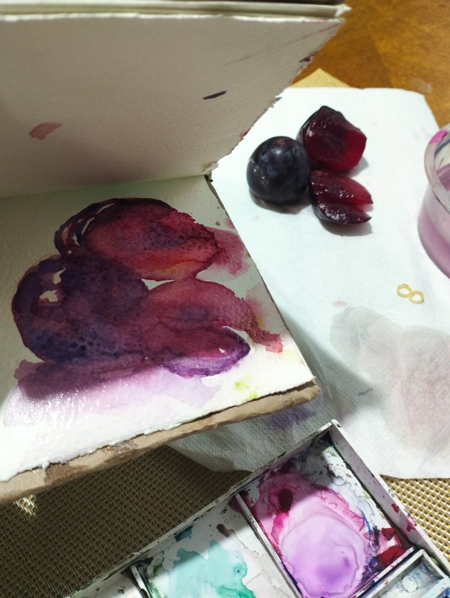 #watercolor #acuarela #windsorandnewton #Paint #pintura #girlart #poesía #poet 

Hoy pinté estas deliciosas ciruelas 🖌️🎨

Luego de preguntarme por qué te cruzas involuntariamente en los caminos que decido tomar.