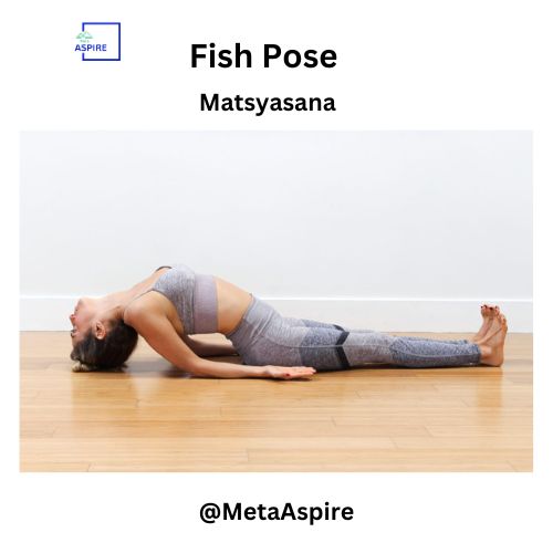 🧘‍♂️ Master Matsyasana (Fish Pose) with us! 🌊 Stretch your chest, soothe your neck, and stimulate your Throat Chakra. Join the journey at Aspire Hatha Yoga Sanctuary. #AspireToInspire @Maheshb03128803