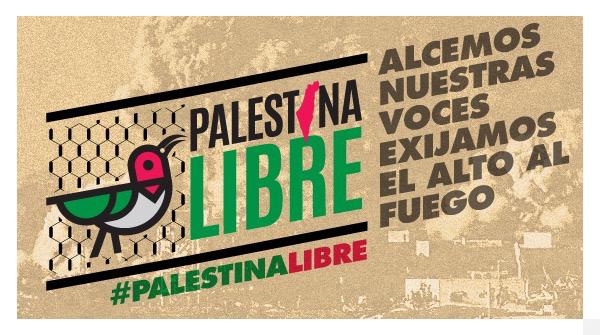 En presencia de VPE @delcyrodriguezv y cuerpo diplomático, Sec. Ejecutivo del ALBA-TCP @jaarreaza, cumpliendo acuerdo de países miembros de fortalecer solidaridad con pueblo palestino, dirigió izado de bandera palestina de 22×15 metros en lo más alto del Waraira Repano.
