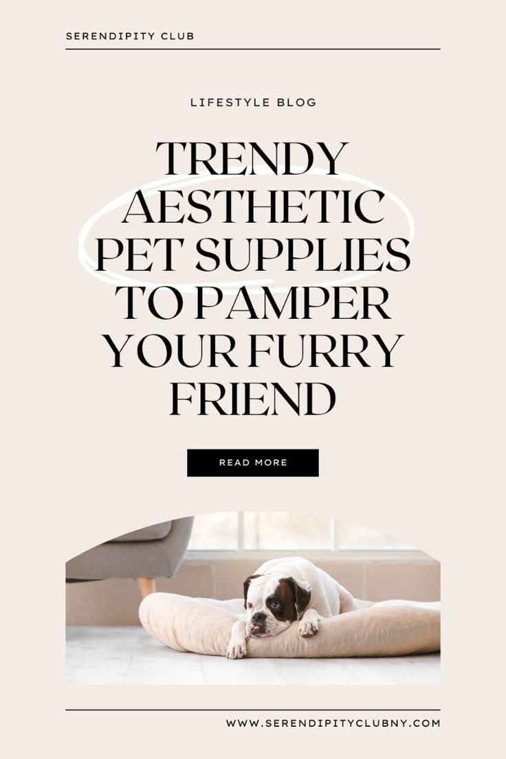 Elevate your pet's style with our latest blog on aesthetic pet supplies! Discover chic accessories, cozy beds, and trendy toys to pamper your furry friend in style. #petsupplies #dogsupplies

serendipityclubny.com/trendy-aesthet…