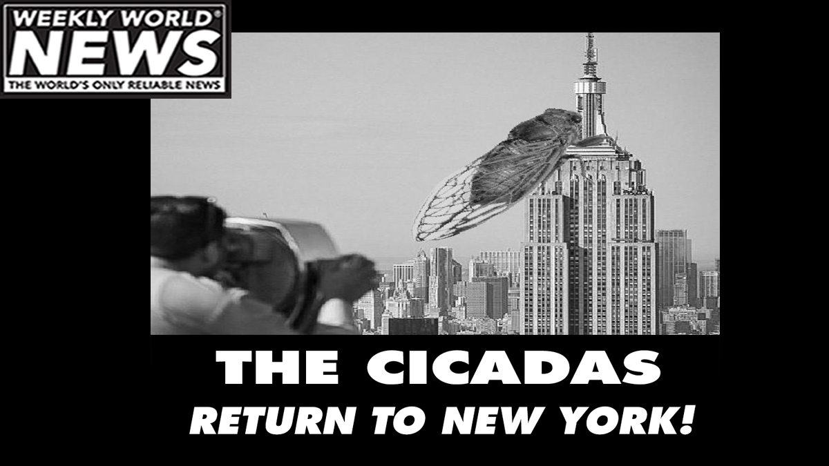 'Trillions are coming to the Northeast, but the big ones are headed for Manhattan!'

#cicadas #newyorkcity #empirestatebuilding #returntonewyork #infestation #theyreback