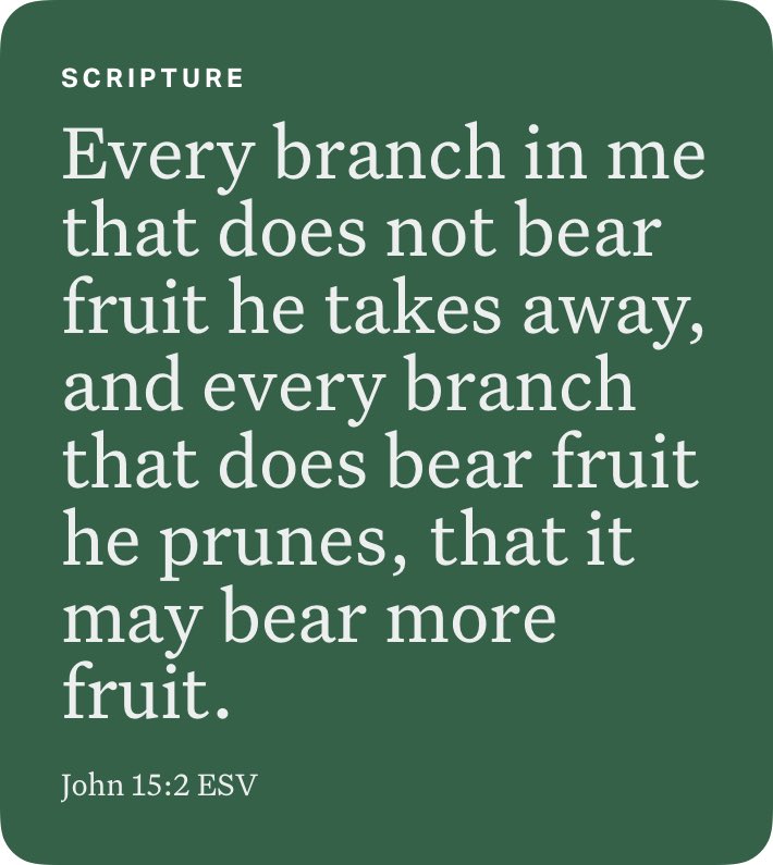 RyanWinkelmann's tweet image. John 15:2 ESV bible.com/bible/59/jhn.1…