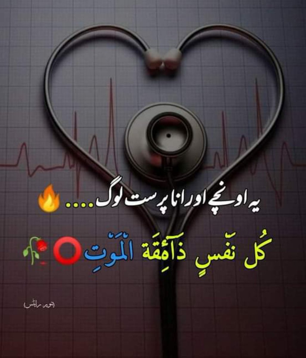 Assalam o alaikum 
Good morning everyone