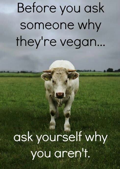 Life is better vegan. #veganlife #veganlove