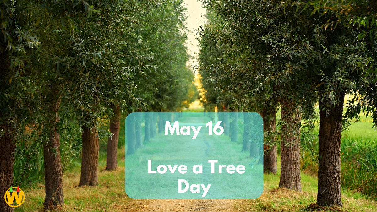 Urban tree🌳🌴 planting offers a multitude of benefits for both the environment🌎 and human well-being. Let’s explore some of these advantages
#winningpink #LoveATreeDay #May16 #saveplanet #treeplantin