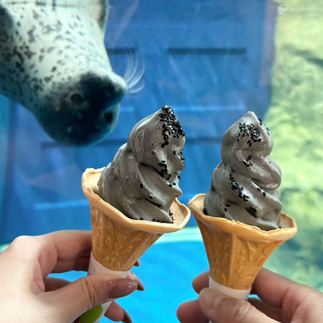 人気の「あざらしソフト」🦭🍦
ゴマの風味がとてもおいしいです。
※個人の感想です。感じ方には個人差があります

オーシャンカフェ
enosui.com/shop_oceancafe…