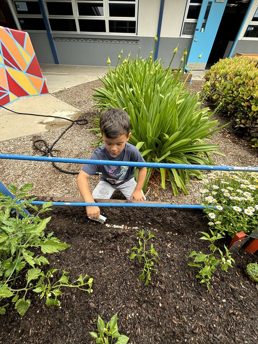I love teaching our littles to enjoy gardening as much as I do. 

<a href="/DosCaminosPVSD/">Dos Caminos School</a> 
<a href="/PVSDCamarillo/">PVSD Camarillo</a>