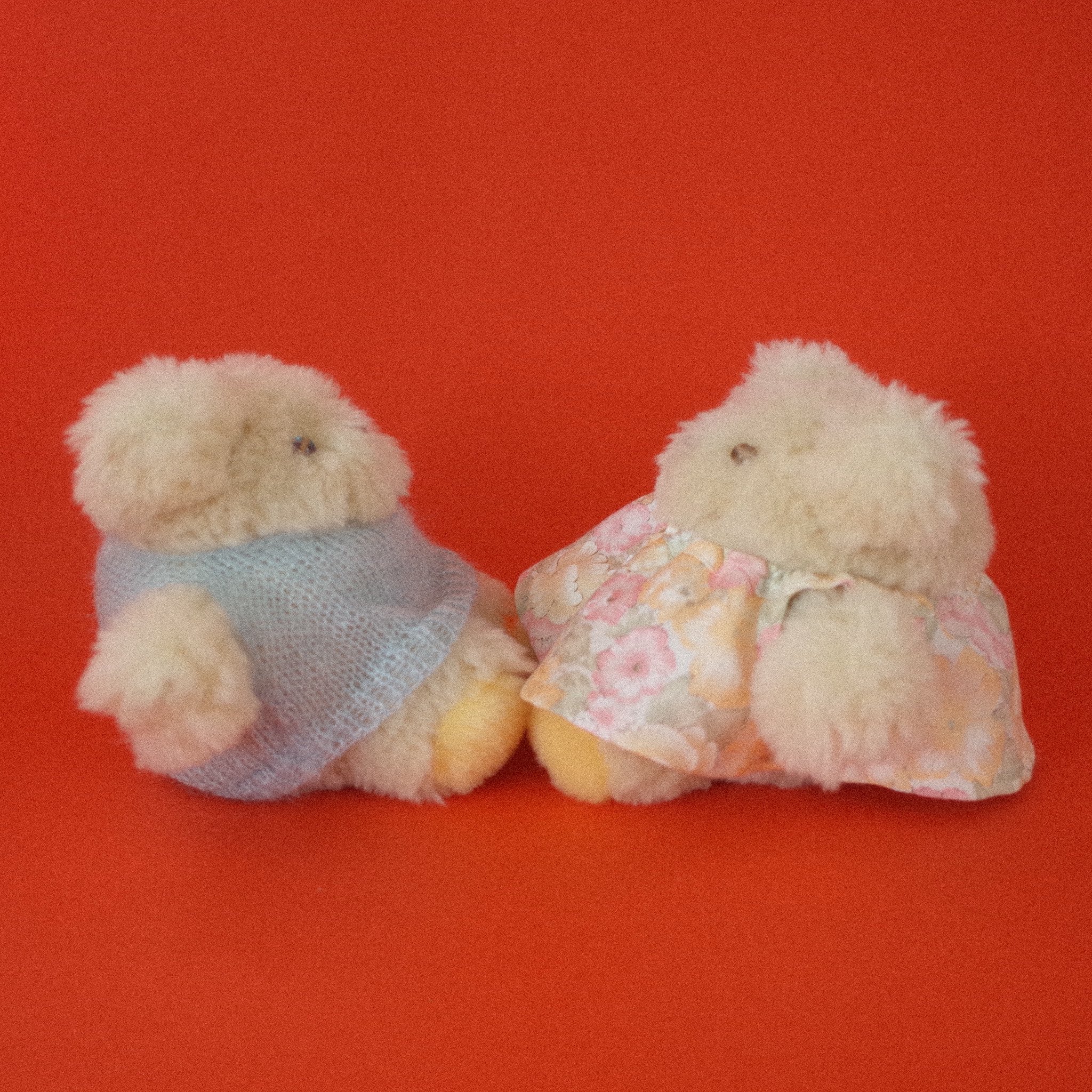 あお山ヒュッテ　ぬいぐるみ　おやすみチャーボム new item | ぬいぐるみ“チャーボム” デビュー！ / NEWS