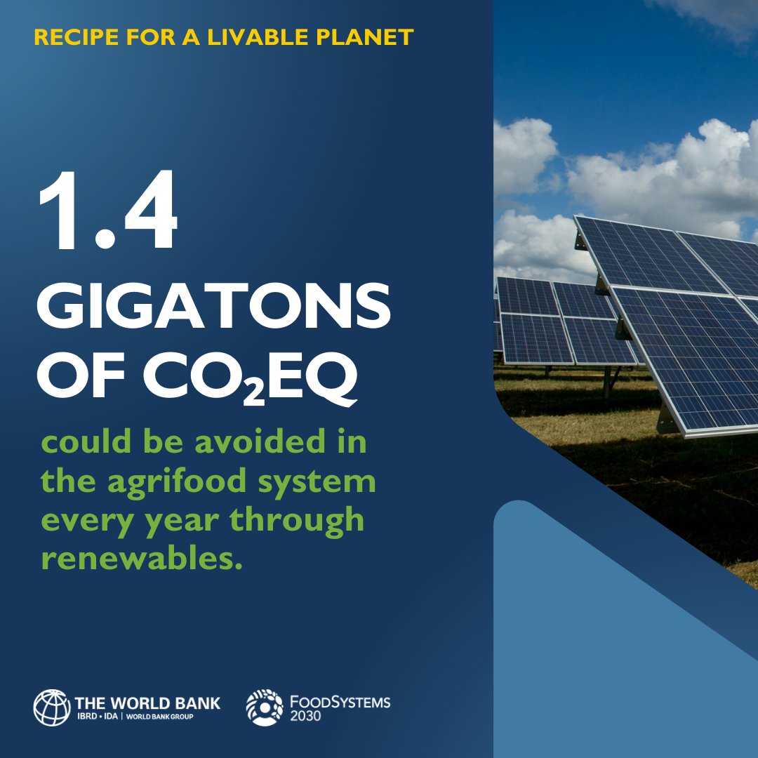 #DidYouKnow that 1.4 gigatons of CO2 equivalent could be avoided in the agrifood system every year through renewables? Know more: wrld.bg/bXjO50RA2zV #LiveablePlanet 🌱