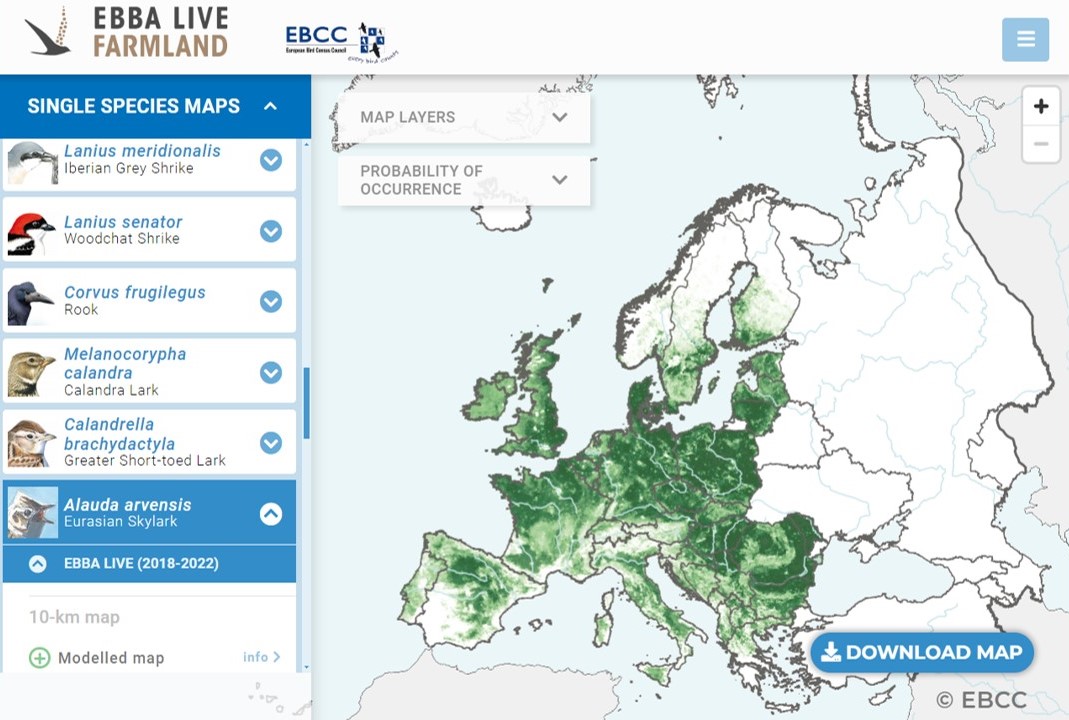 The EBBA Live Farmland project's first results are available: ebba2.info/live/farmland/ You will find: 📷Occurrence maps of 50 farmland bird species 📷New 10-km modelled distribution maps 2018–2022 ebcc.info/ebba-live-farm…