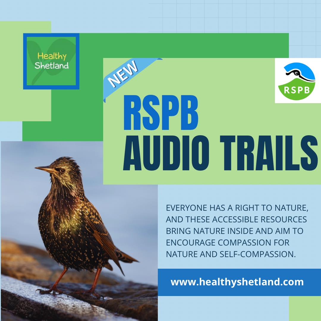 Very pleased to share that @HealthyShetland is now home to a brilliant new set of resources, developed by RSPB Shetland. The audio trails and a series of nature talks are a wonderful way to connect with nature, wherever you are healthyshetland.com/shetland-audio…  #MentalHealthAwarenessWeek