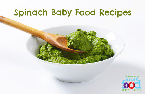 Learn how and when to introduce spinach to your baby:
homemade-baby-food-recipes.com/spinach-baby-f…
#spinach #babyfoodrecipes #babyfood #homemadebabyfood #weaning #weaningideas #startingsolids #firstfoods #babyfirstfood