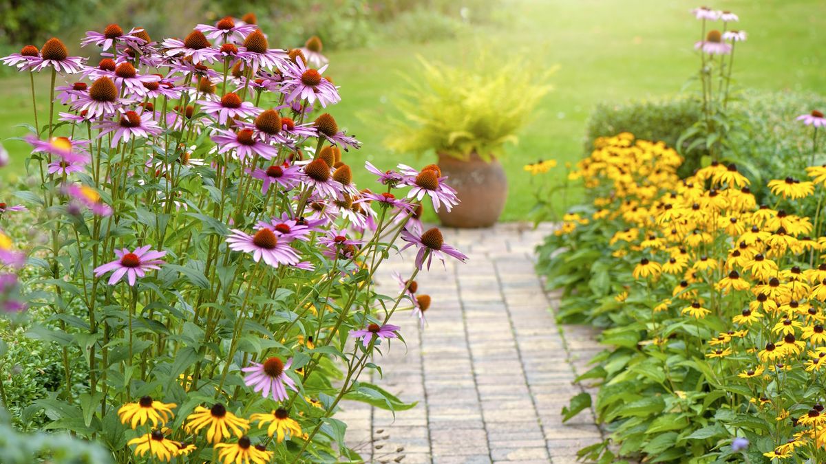 Best flowers to plant if you rent – 10 blooms for flexible gardening trib.al/r9U1cml
