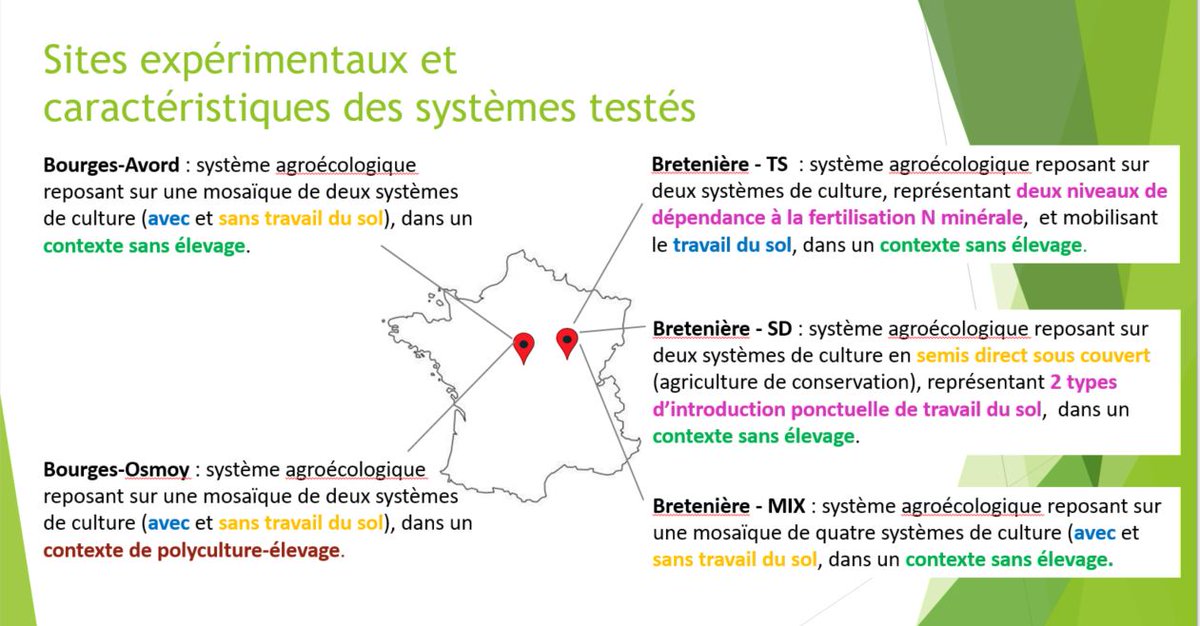 Stéphane CORDEAU tweet media