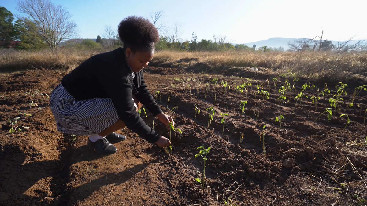 Education is our greatest tool against #ClimateChange. We're excited to share that the Keep It Cool project in South Africa is entering its second phase, extending climate change education to an estimated 120 schools and up to 7200 additional learners! 🔗on.vvob.org/ClimateChangeE…