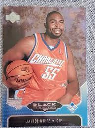 FieldsOfGreen6's tweet photo. That’s gotta be the legendary Charlotte Bobcat, Jahidi White. #instatrivia @benmaller https://t.co/N1WdceOOq7