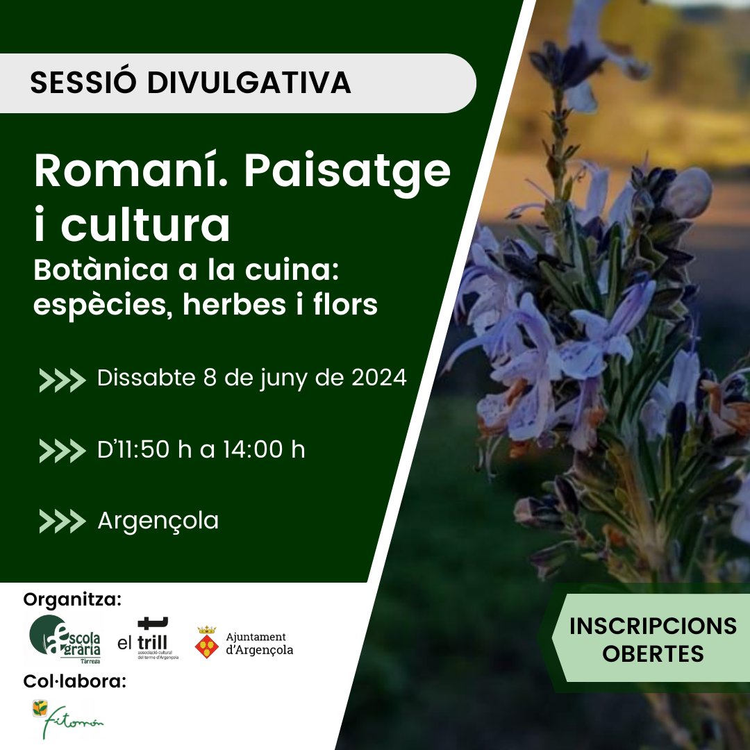 🌿Arriba el 14è Mercat de les espècies d'#Argençola! En aquesta sessió divulgativa coneixerem els usos a la cuina i els remeis amb les flors i fulles de #romaní, així com altres usos tècnics i artesans. Inscriu-te✏️⁣: ruralcat.gencat.cat/c/document_lib… #EATàrrega