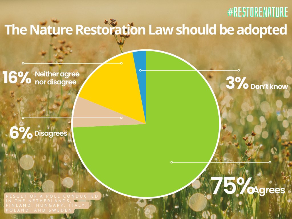 ⚠️ A new poll reveals that an overwhelming 75% of Europeans in 6 EU countries support the #NatureRestorationLaw.
Despite governments in NL, FI, HU, IT, PL and SE refusing to back this new law, their citizens clearly disagree.
EU governments, it's time to #RestoreNature! 🏞️