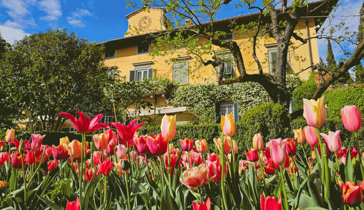 It's official! I will be a fellow at Villa I Tatti, the Harvard University Center for Italian Renaissance Studies, for a year starting on July 1. Looking forward to working on my new book in the heart of the Tuscan valley 🇮🇹 & meeting the other fellows 👇 itatti.harvard.edu/news/announcin…