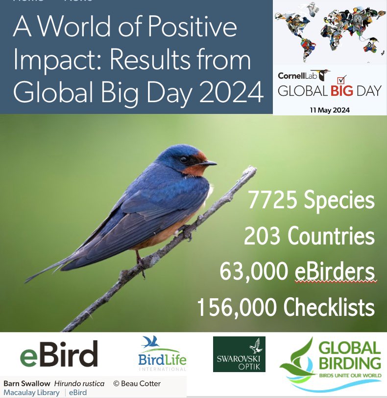 Impressive Global Participation Incredible Global Results Insightful report from @Team_eBird 👉 ebird.org/news/global-bi… 🙏🏽THANK YOU EVERYONE WHO JOINED IN Thanks @BirdLife_News for their work across the globe Thanks to @SwarovskiOptik for their ongoing support @StephenMoss_TV