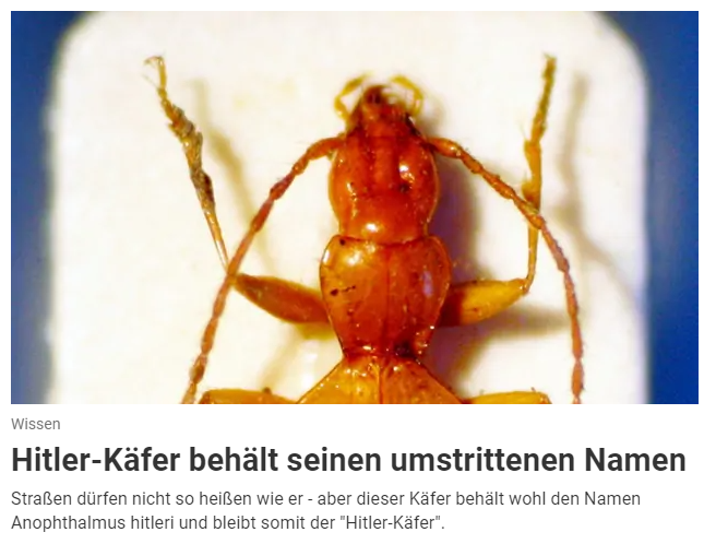 Wer hat Angst vor Namen, Worten und Zahlen?

#Hitler Käfer wird nicht ausgelöscht...