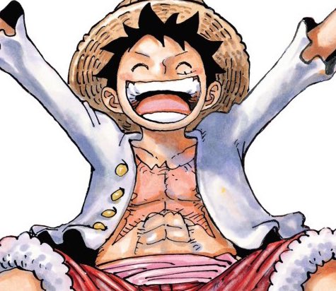 Luffy makes me happy 👒💗 This year is good to me 👒💗