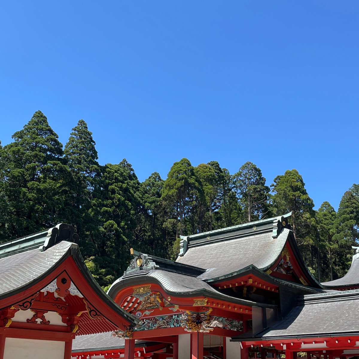 霧島神宮

つむじから気を注入された後にラッピングされたような体感
こんなの初めて😻⁉︎