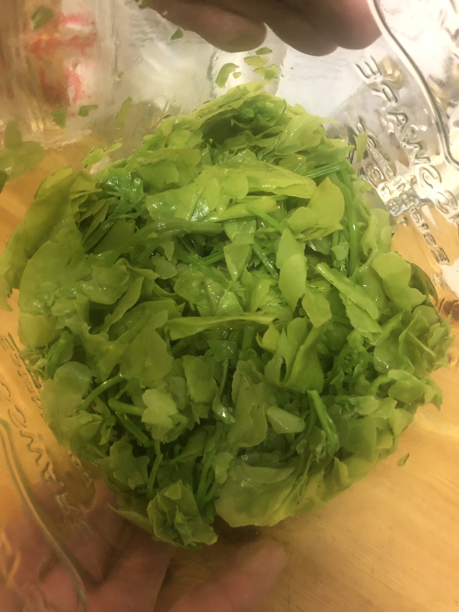 Behind the scenes #GinaDayMay prepping for the <a href="/WatercressFest/">Watercress Festival</a> this Sunday! Guess the ABV &amp; botanicals of our 'Barters Best' Watercress Gin entry. What’s not to love about a community competition, WIN a bottle! Comment your guesses below, first correct answer wins*#WatercressFest