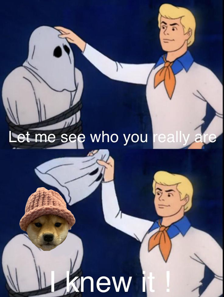 Bitstamp's tweet image. Anddd… we found him 👀 $WIF