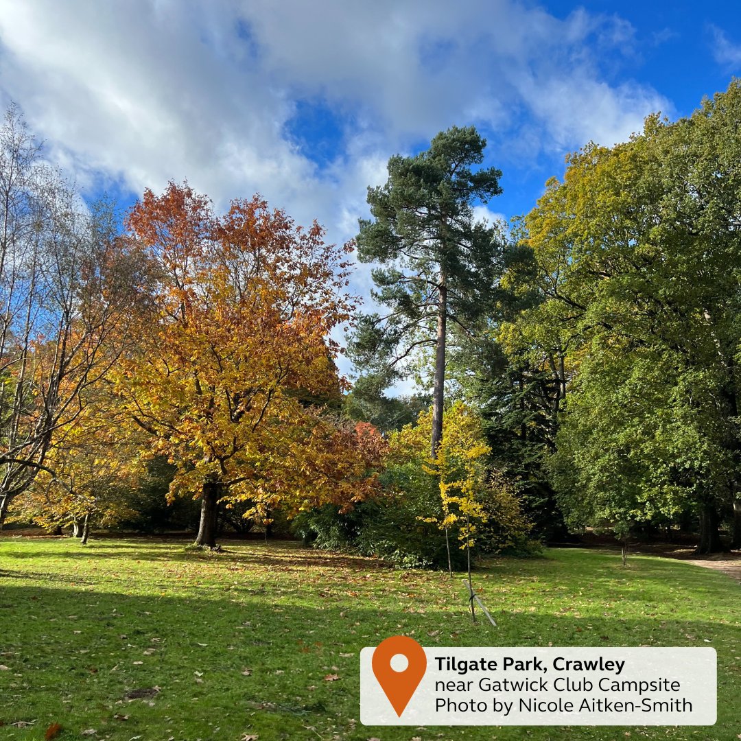 Good morning! Today is National Love a Tree Day.🌳 As we celebrate the beauty and importance of trees, we want to know: where is your favorite place to take a stroll among these magnificent wonders of nature? 🌲We are here until 5.30pm and would love to hear from you. Ric