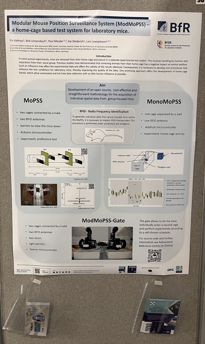 Today is the poster session at Measuring Behavior in Aberdeen. 
I have the pleasure of presenting our ModMoPSS. 🐭

#MB2024 
#COST_TEATIME