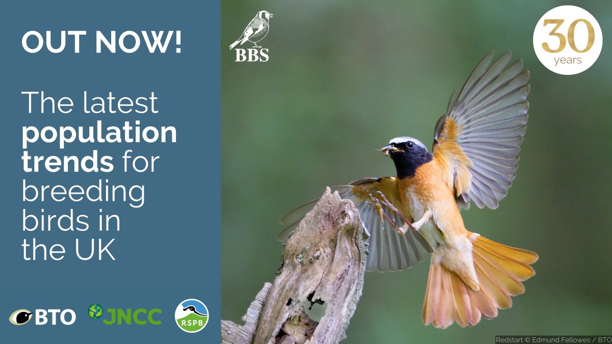 1/ The 2023 Breeding Bird Survey Report is out now!🎉 2024 is a really important year as it’s the 30th anniversary of the survey. Nearly 9,000 people have visited around 7,000 sites over 30 years to get us here ➡️bto.org/bbs-results @_BTO @JNCC_UK @RSPBScience